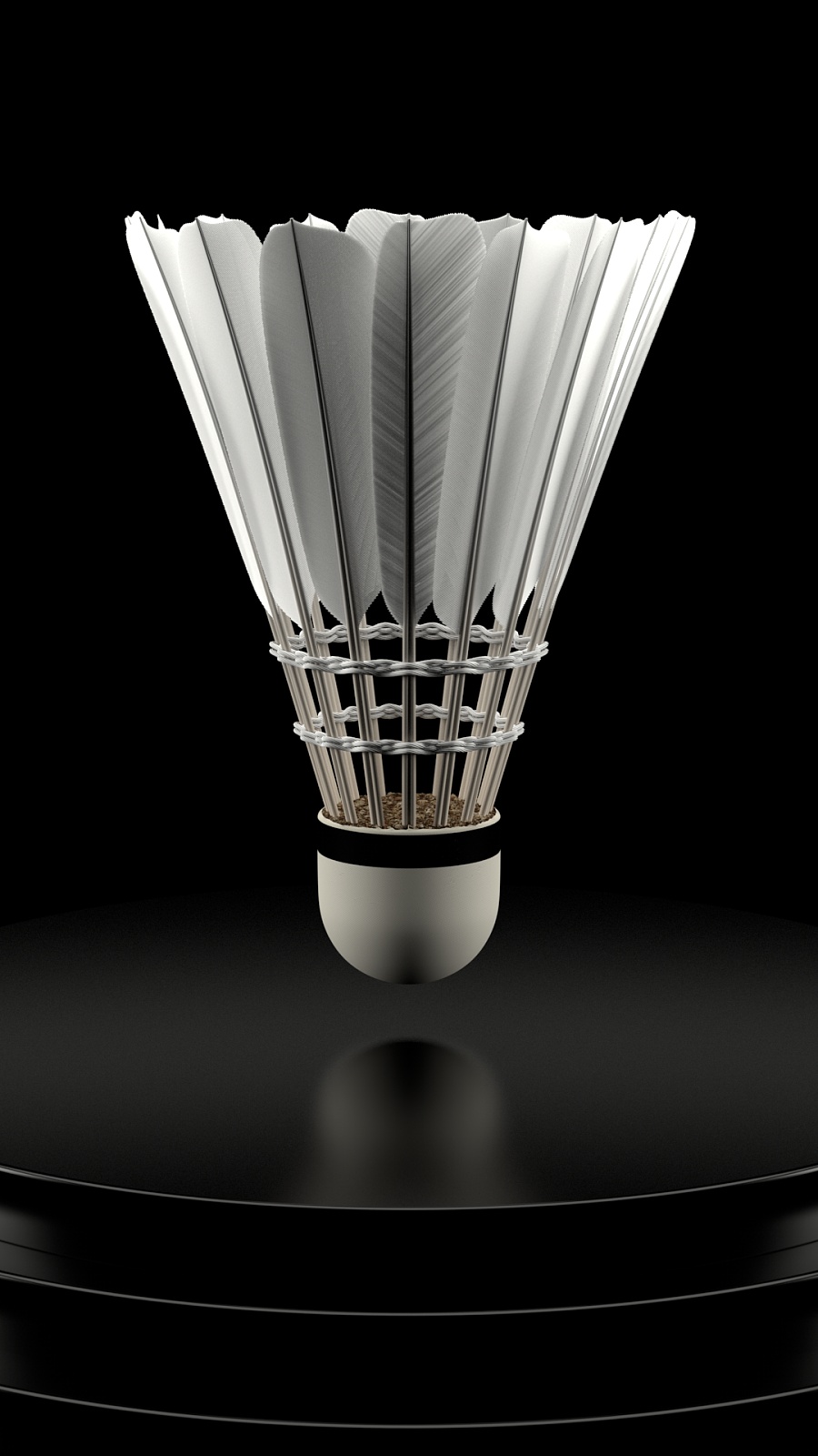 东契奇不仅 东契奇不仅