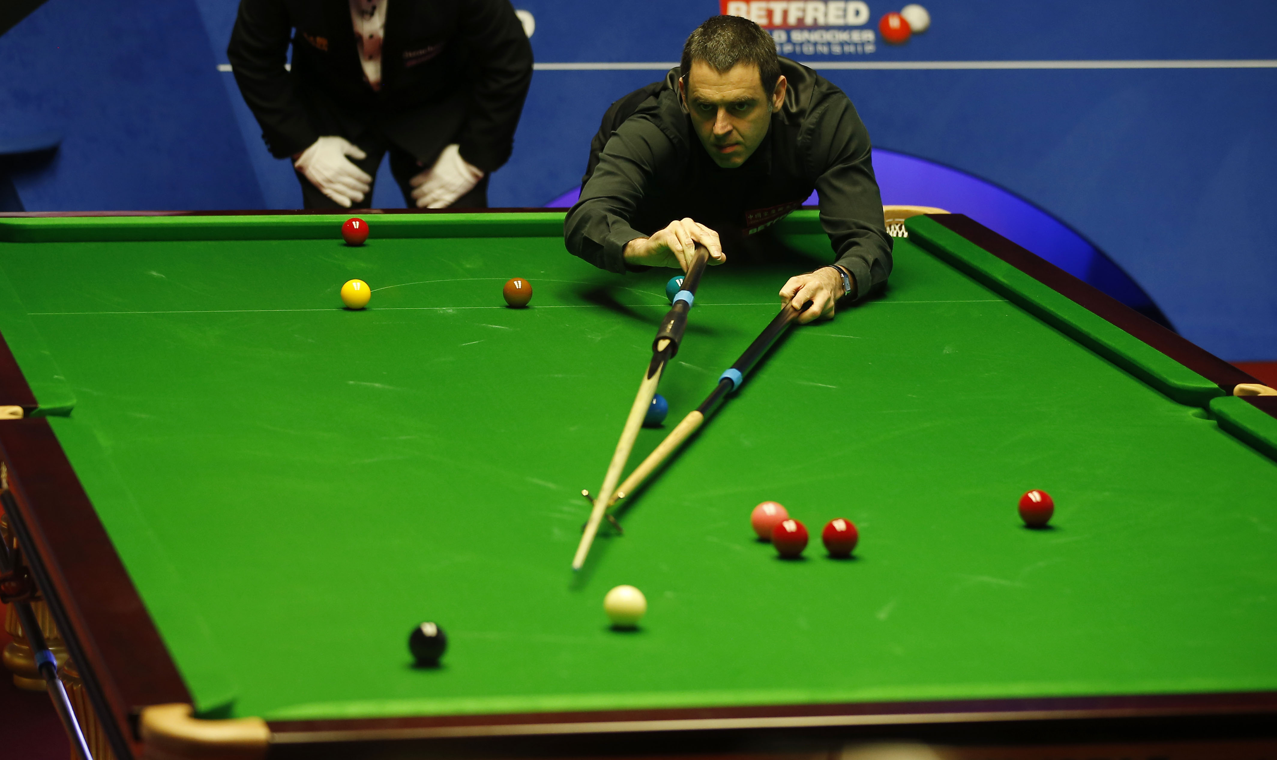 是他运动生 是他运动生