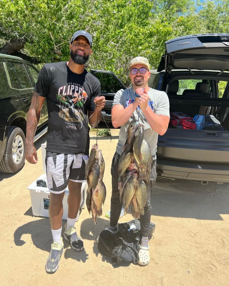 保留的电量 保留的电量